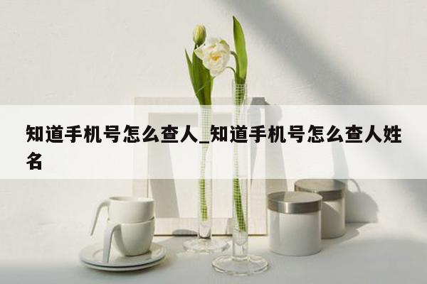 知道手机号怎么查人_知道手机号怎么查人姓名