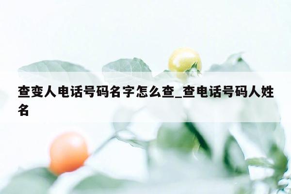 查变人电话号码名字怎么查_查电话号码人姓名