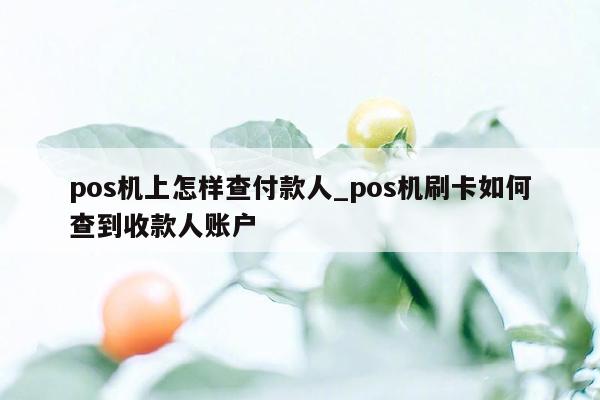 pos机上怎样查付款人_pos机刷卡如何查到收款人账户