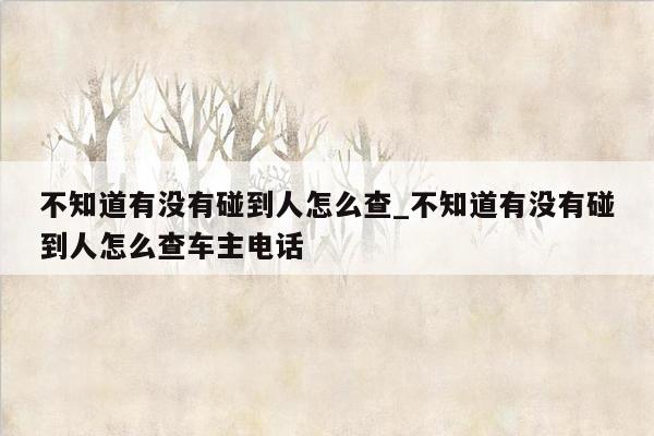 不知道有没有碰到人怎么查_不知道有没有碰到人怎么查车主电话