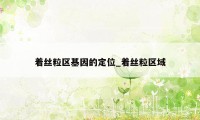 着丝粒区基因的定位_着丝粒区域