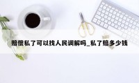 赔偿私了可以找人民调解吗_私了赔多少钱