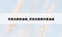 开房式厨房油烟_开放式厨房炒菜油烟