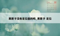 黑匣子没有定位器的吗_黑匣子 定位