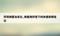 环境微整治定位_微服务环境下的快速故障定位