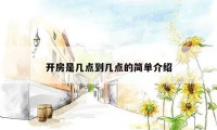 开房是几点到几点的简单介绍