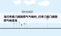 当打开房门闻到燃气气味时_打开门房门闻到燃气味首先