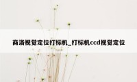 商洛视觉定位打标机_打标机ccd视觉定位