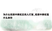 为什么琉璃中腾蛇总找人打架_琉璃中腾蛇是什么身份