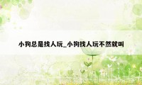 小狗总是找人玩_小狗找人玩不然就叫