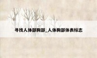 寻找人体部胸部_人体胸部体表标志