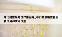 命门的准确定位作用图片_命门的准确位置图和作用和准确位置
