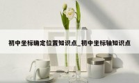 初中坐标确定位置知识点_初中坐标轴知识点