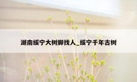 湖南绥宁大树脚找人_绥宁千年古树