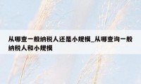 从哪查一般纳税人还是小规模_从哪查询一般纳税人和小规模