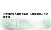 小规模纳税人等级怎么查_小规模纳税人登记表查询
