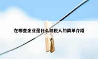 在哪查企业是什么纳税人的简单介绍