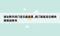 湖北数字阀门定位器选择_阀门智能定位模块使用说明书