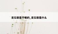 定位筋是干嘛的_定位筋是什么