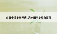 白百合冯小刚开房_冯小刚李小璐白百何