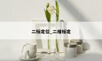 二标定位_二维标定