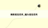 微形定位芯片_植入定位芯片