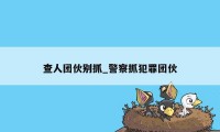 查人团伙别抓_警察抓犯罪团伙