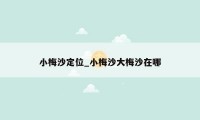 小梅沙定位_小梅沙大梅沙在哪
