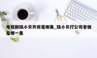 电视剧陆小贝开房是哪集_陆小贝打公司老板是哪一集