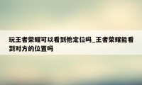 玩王者荣耀可以看到他定位吗_王者荣耀能看到对方的位置吗